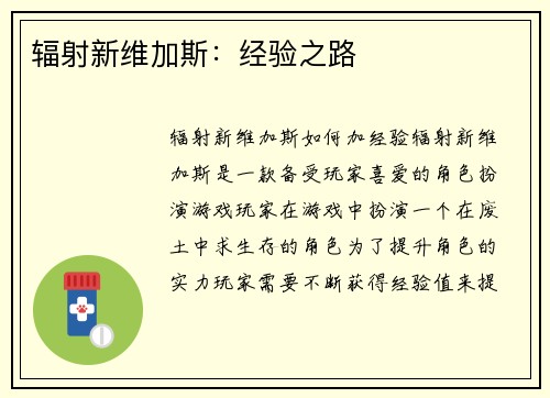 辐射新维加斯：经验之路