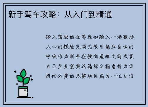新手驾车攻略：从入门到精通